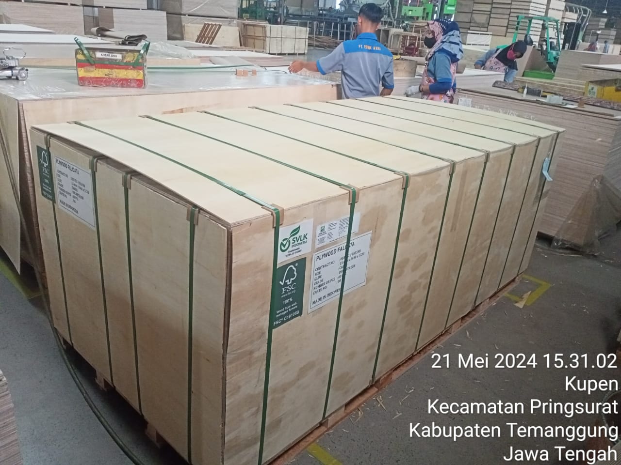 Packaging and Distribution