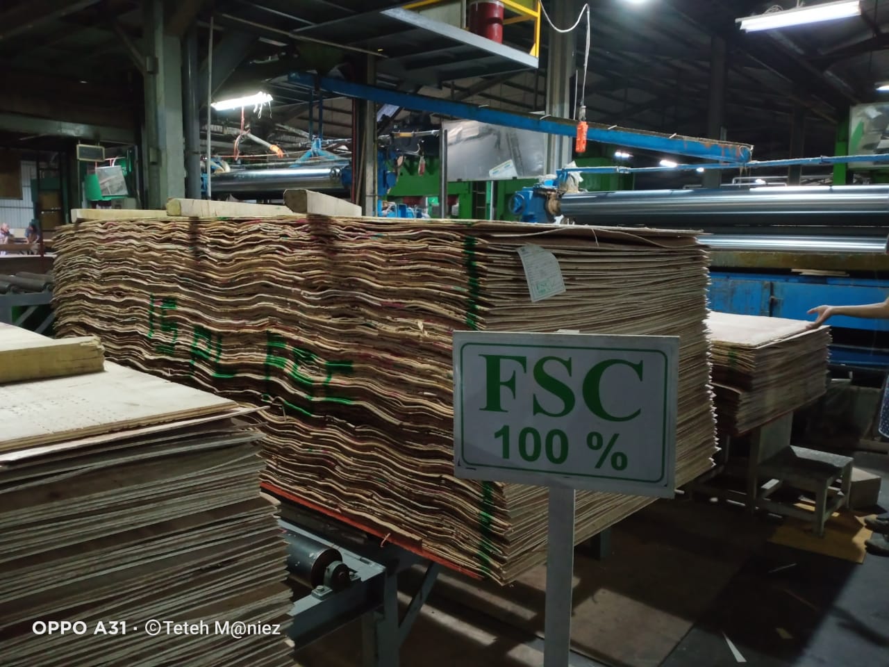 Environmental Impact Assessment